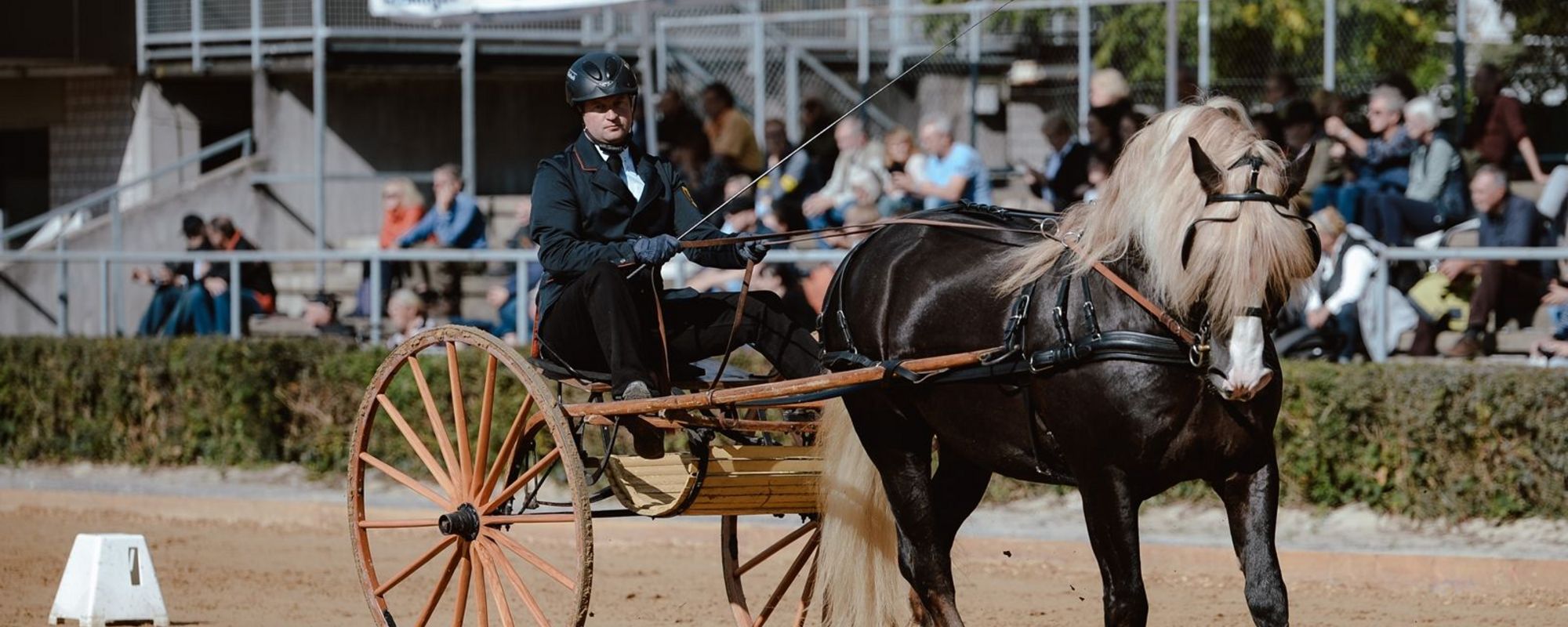 Landwirtschaftliches Hauptfest